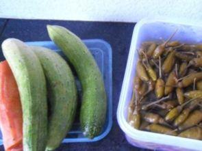 泡椒娱乐会长吃瓜