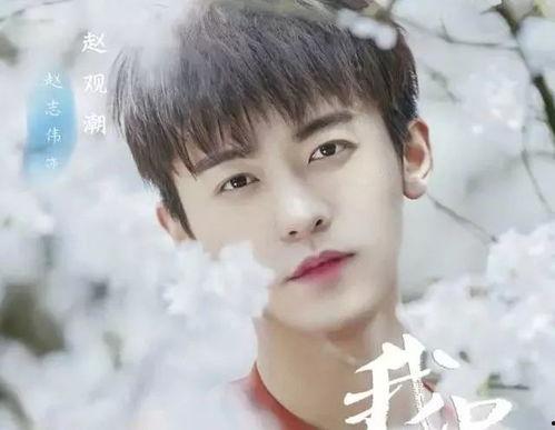 任宸夕个人资料