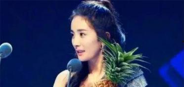 杨 搞笑明星,笑点满满，星光熠熠