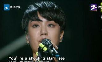 杨美娜资料,才华横溢的艺术家与她的多彩人生