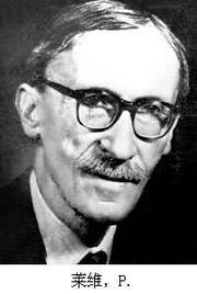 莱维图片,捕捉瞬间，展现生活百态