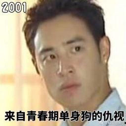 潘玮柏狗狗表情包,潘玮柏萌态尽显，萌宠风潮席卷而来